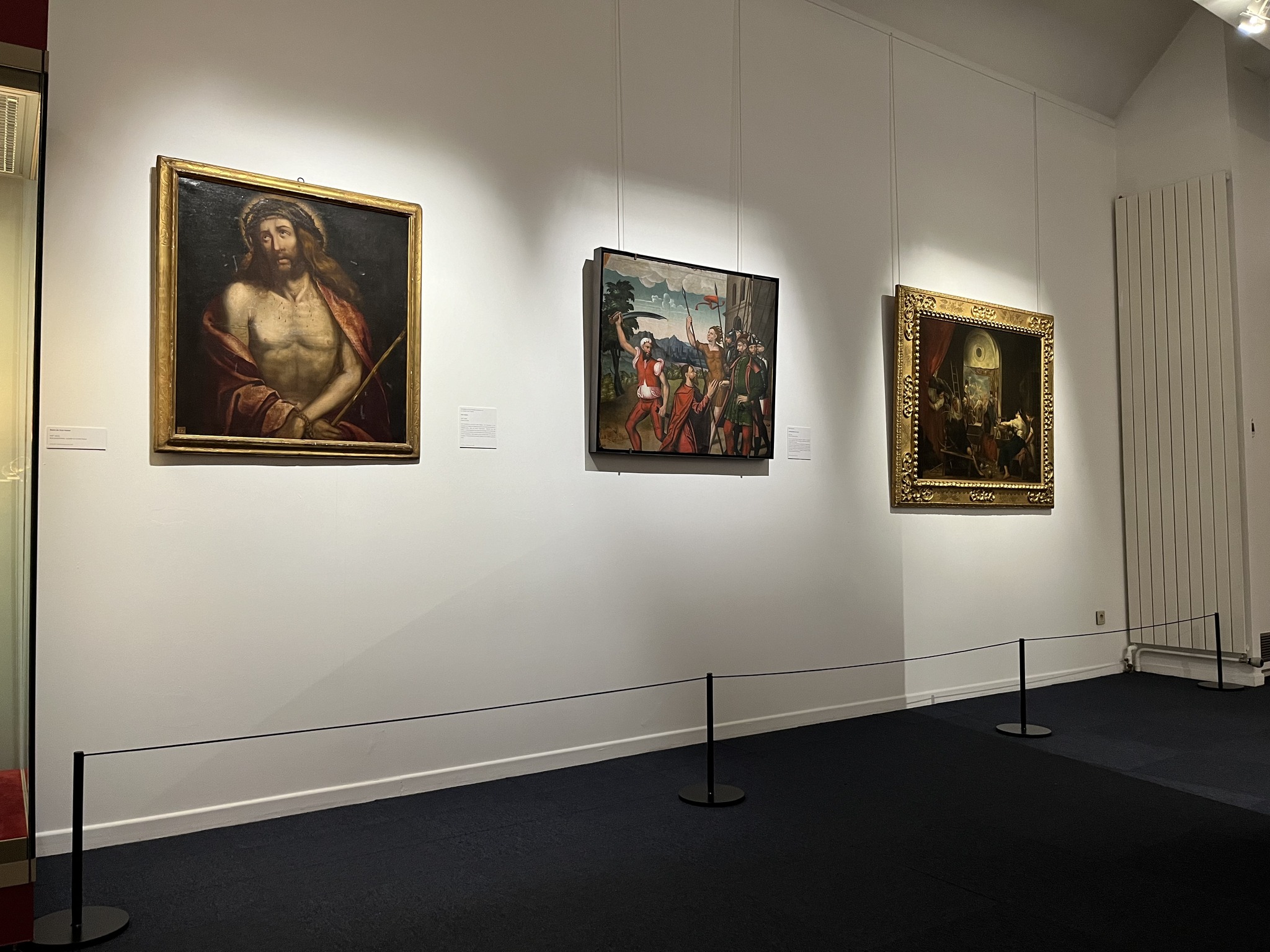 Salle d’exposition – Musée des Hautes Alpes – Gap